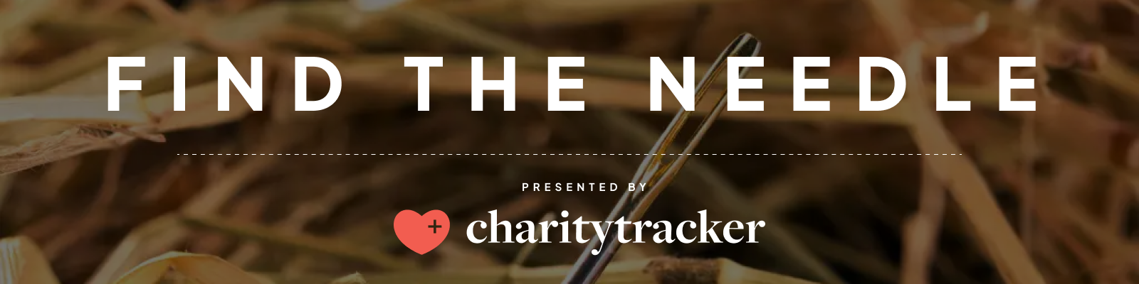 Find the Needle: An Opportunity - Fall 2026